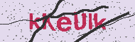 Güvenlik Kodu