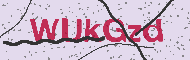 Güvenlik Kodu