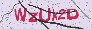Güvenlik Kodu