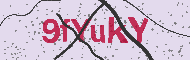 Güvenlik Kodu